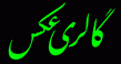 My Photo Gallery